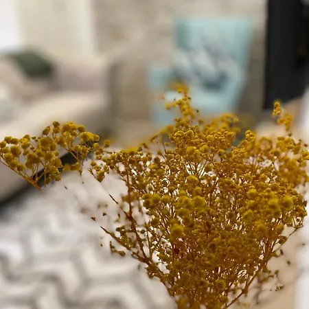 Charming Baixa Iii Апартаменты Alhos Vedros