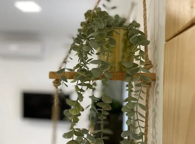 アパート Charming Baixa Iii *