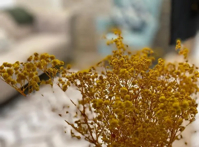 Charming Baixa Iii アパート Alhos Vedros